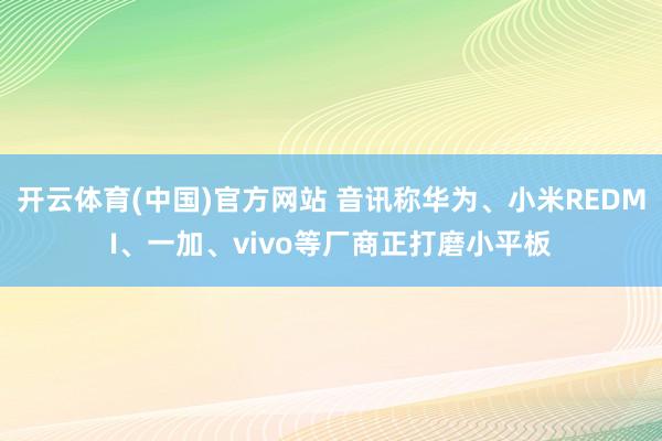 开云体育(中国)官方网站 音讯称华为、小米REDMI、一加、vivo等厂商正打磨小平板