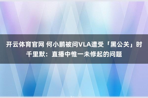 开云体育官网 何小鹏被问VLA遭受「黑公关」时千里默：直播中惟一未修起的问题