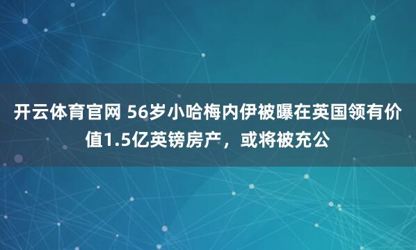 开云体育官网 56岁小哈梅内伊被曝在英国领有价值1.5亿英镑房产，或将被充公