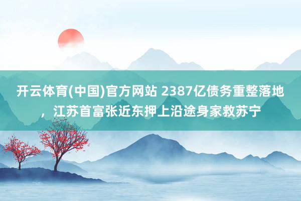 开云体育(中国)官方网站 2387亿债务重整落地，江苏首富张近东押上沿途身家救苏宁