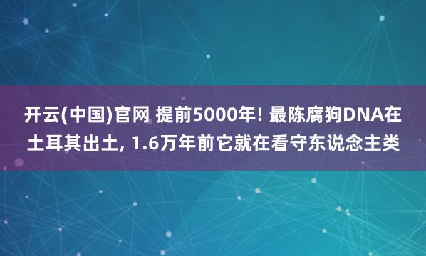 开云(中国)官网 提前5000年! 最陈腐狗DNA在土耳其出土， 1.6万年前它就在看守东说念主类