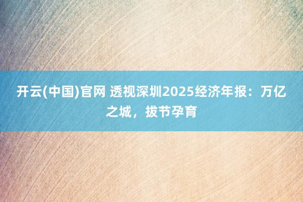 开云(中国)官网 透视深圳2025经济年报：万亿之城，拔节孕育
