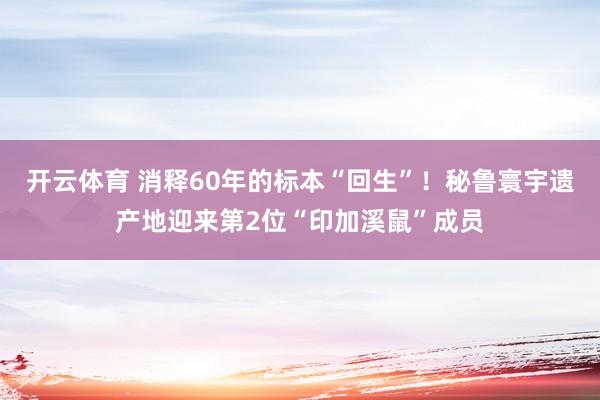 开云体育 消释60年的标本“回生”！秘鲁寰宇遗产地迎来第2位“印加溪鼠”成员