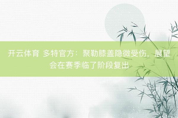 开云体育 多特官方：聚勒膝盖隐微受伤，展望会在赛季临了阶段复出