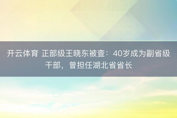 开云体育 正部级王晓东被查：40岁成为副省级干部，曾担任湖北省省长