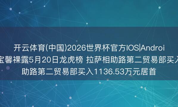 开云体育(中国)2026世界杯官方IOS|Android手机app下载 ST宝馨裸露5月20日龙虎榜 拉萨相助路第二贸易部买入1136.53万元居首
