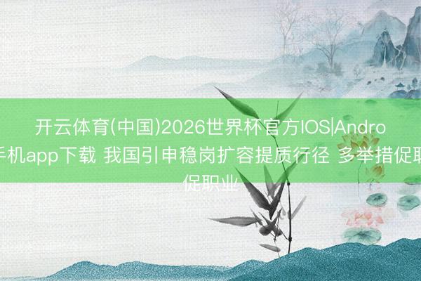 开云体育(中国)2026世界杯官方IOS|Android手机app下载 我国引申稳岗扩容提质行径 多举措促职业