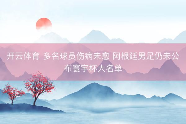 开云体育 多名球员伤病未愈 阿根廷男足仍未公布寰宇杯大名单